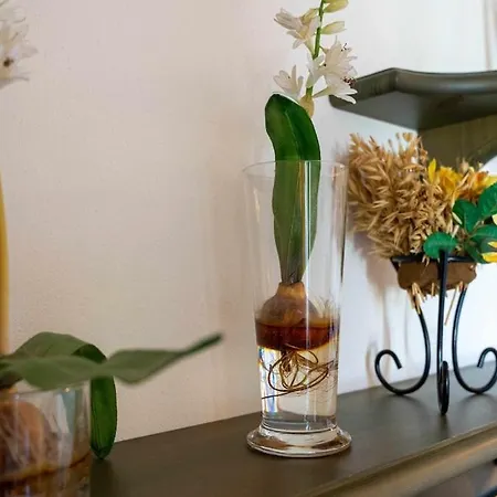 La Quiete Appartement Polpenazze del Garda